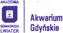 akwariumgdynskie_02~0.jpg