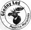 Nazwa pliku=glodnylos_puszczamarianska_01.jpg
Wielkość pliku=143KiB
Rozmiar=1003x1001
Data dodania= 16, Kwiecień 2024 glodnylos_puszczamarianska_01.jpg