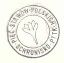 piatka.jpg